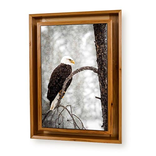 Stealth Furniture Hidden Compartment Picture- Wall Mounted Type 1- Medium (Light Hickory - Bald Eagle)