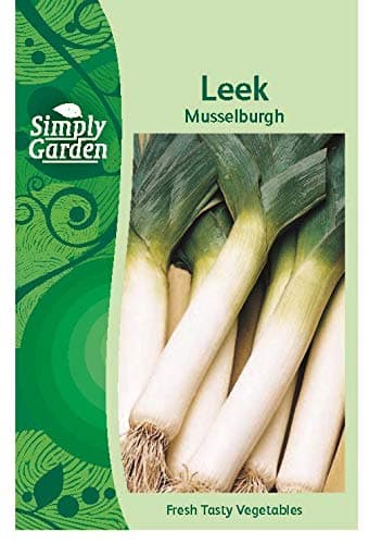 Leek Musselburgh Seeds Root Vegetable Grow Your Own Garden