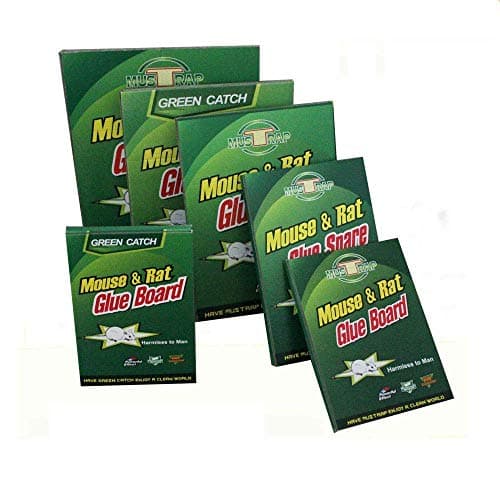 Haliete Wireless SoundBuds Wireless Bluetooth Headphones Noise Cancellation, Bluetooth 4.2 Sports Earphones + EDR, Workout Earbuds - Ergonomic Running Earphones