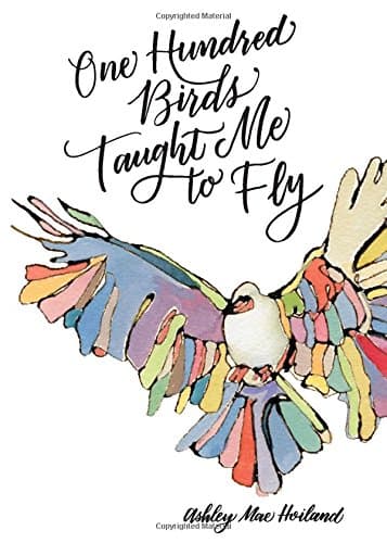 One Hundred Birds Taught Me to Fly: The Art of Seeking God Paperback – August 15, 2017