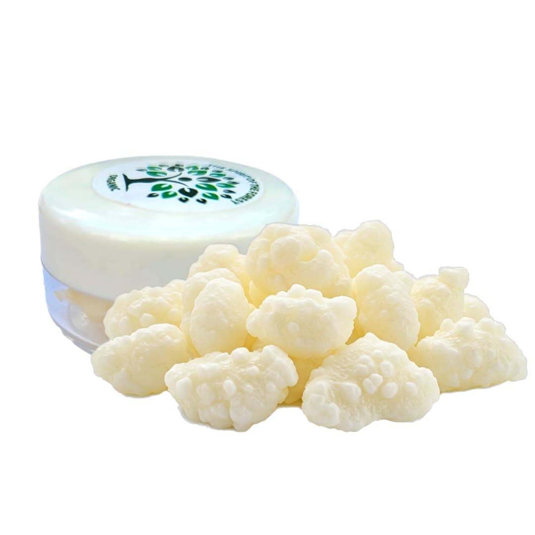Milk Kefir Live Grains - Live Active Starter Cultures Scoby For Homemade Probiotic Drink For Almond, Coconut Kefir Or Whole Milk - Bulgaros De Leche - The Spirit Of The Forest