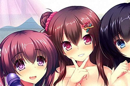 Real Eroge Situation! The Animation Vol.1-2 [CENSORED] [NO SUBTITLES] [DISCS ONLY]