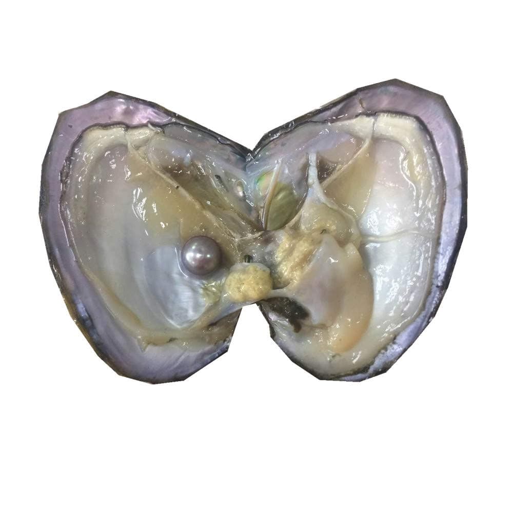 5PCS Oysters with Edison Pearl Inside,Edison Pearl Oyster,Large Big Pearls