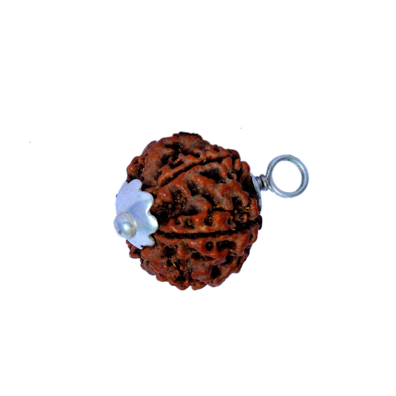 Gemsking Six MUKHI RUDRAKSHA 100% Original & Natural Rudrakash fine Quality