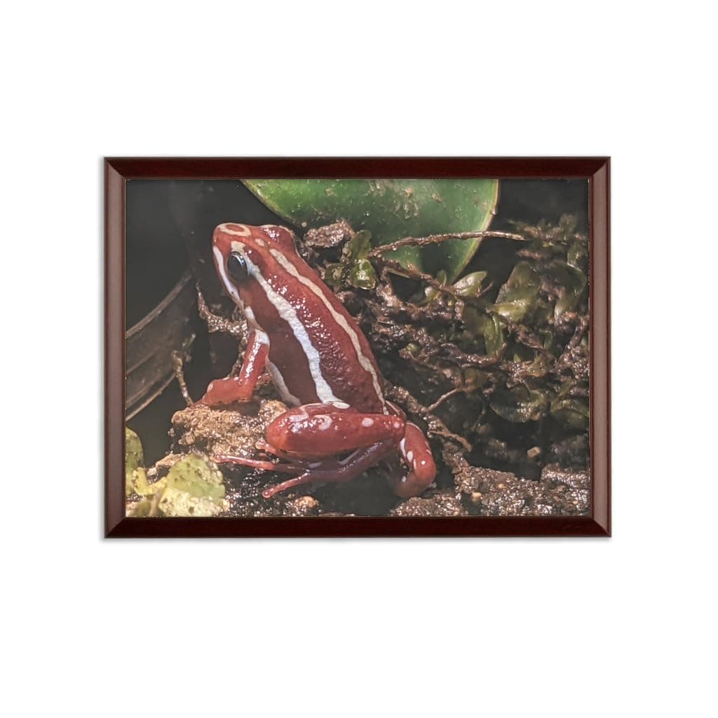 RedFrog Sublimation Wall Plaque L - 203.2mm x 254mm