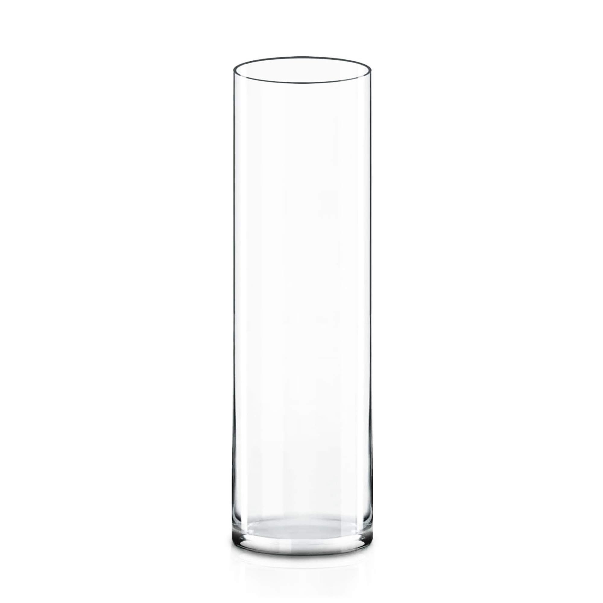 (H:16” D:4”) Tall Clear Glass Cylinder Vase | Multiple Size Choices Glass Flower Vase Centerpieces | Tall Hurricane Floating Candle Holder