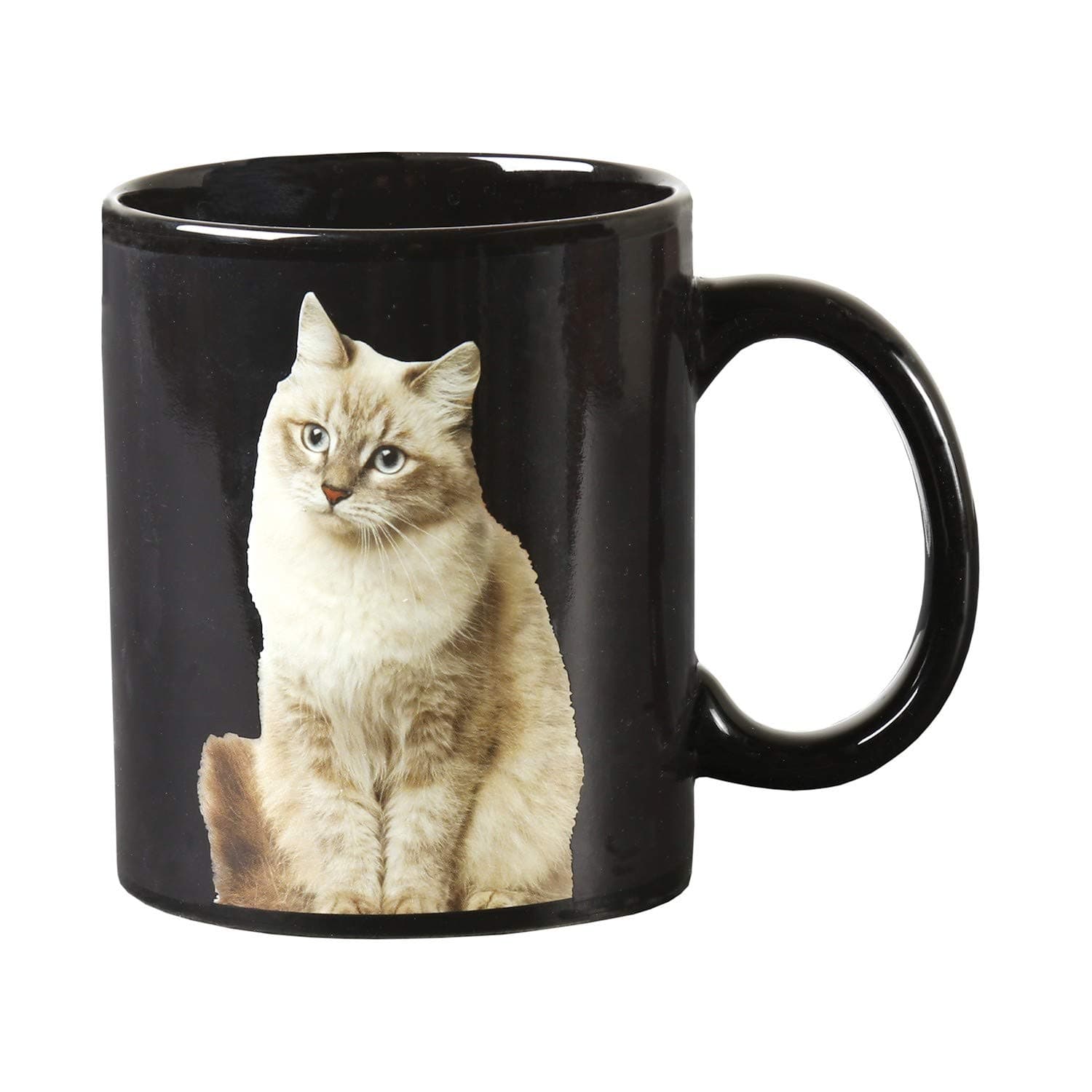 WHAT ON EARTH Heat-Change One Cat Leads to Another Coffee Mug - Cats Appear with Hot Liquid