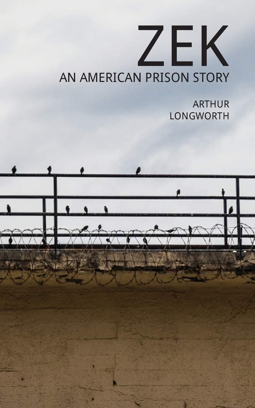 Zek: An American Prison Story Paperback – June 9, 2016