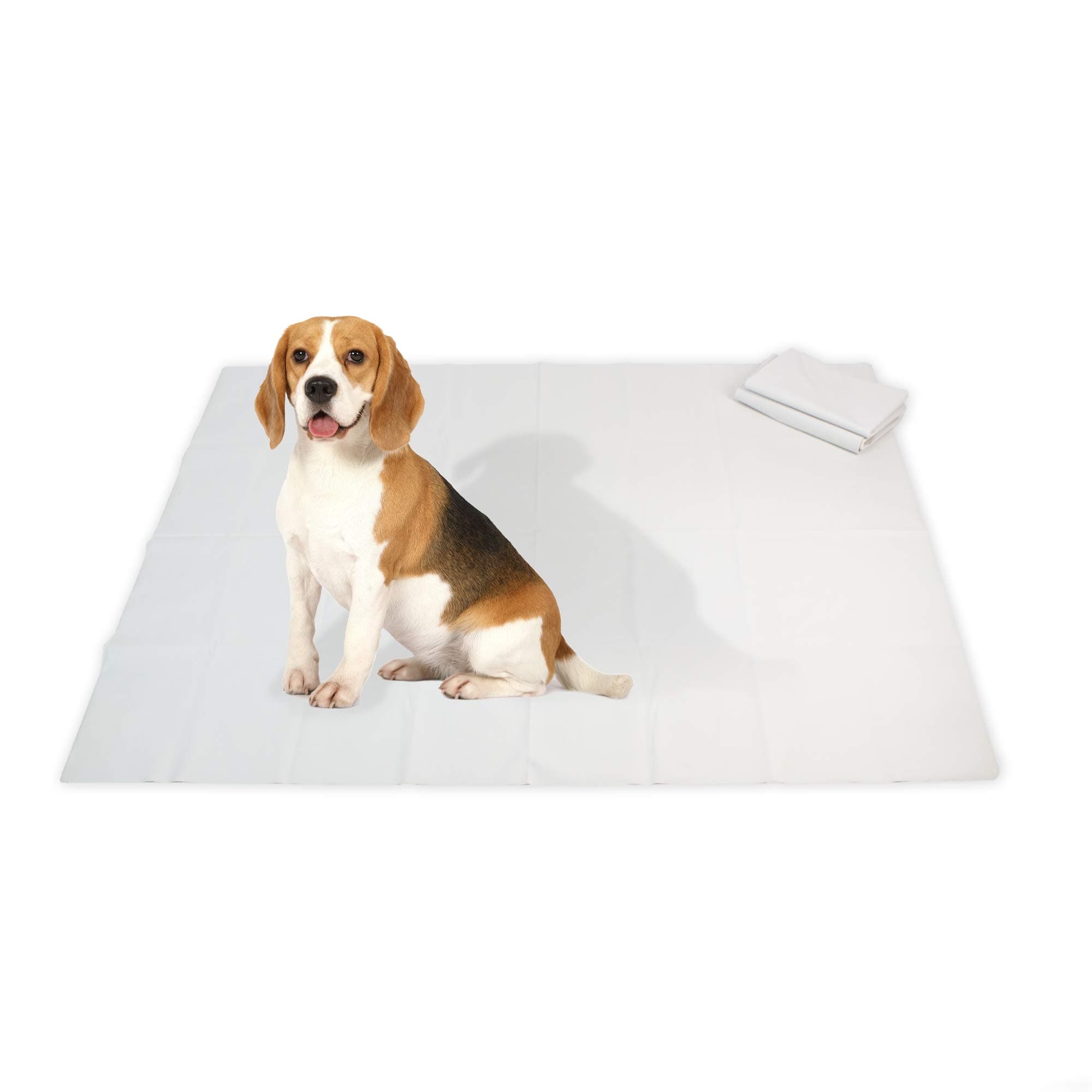 NAC Home Playpen Floor Mat Dog MAT Dog Training Pad Underlay - Reusable and Waterproof - Wee and Poo Proof (Small - 40" x 40") Ideal for Various pet Needs crates, Cages, Liners, Litter etc.