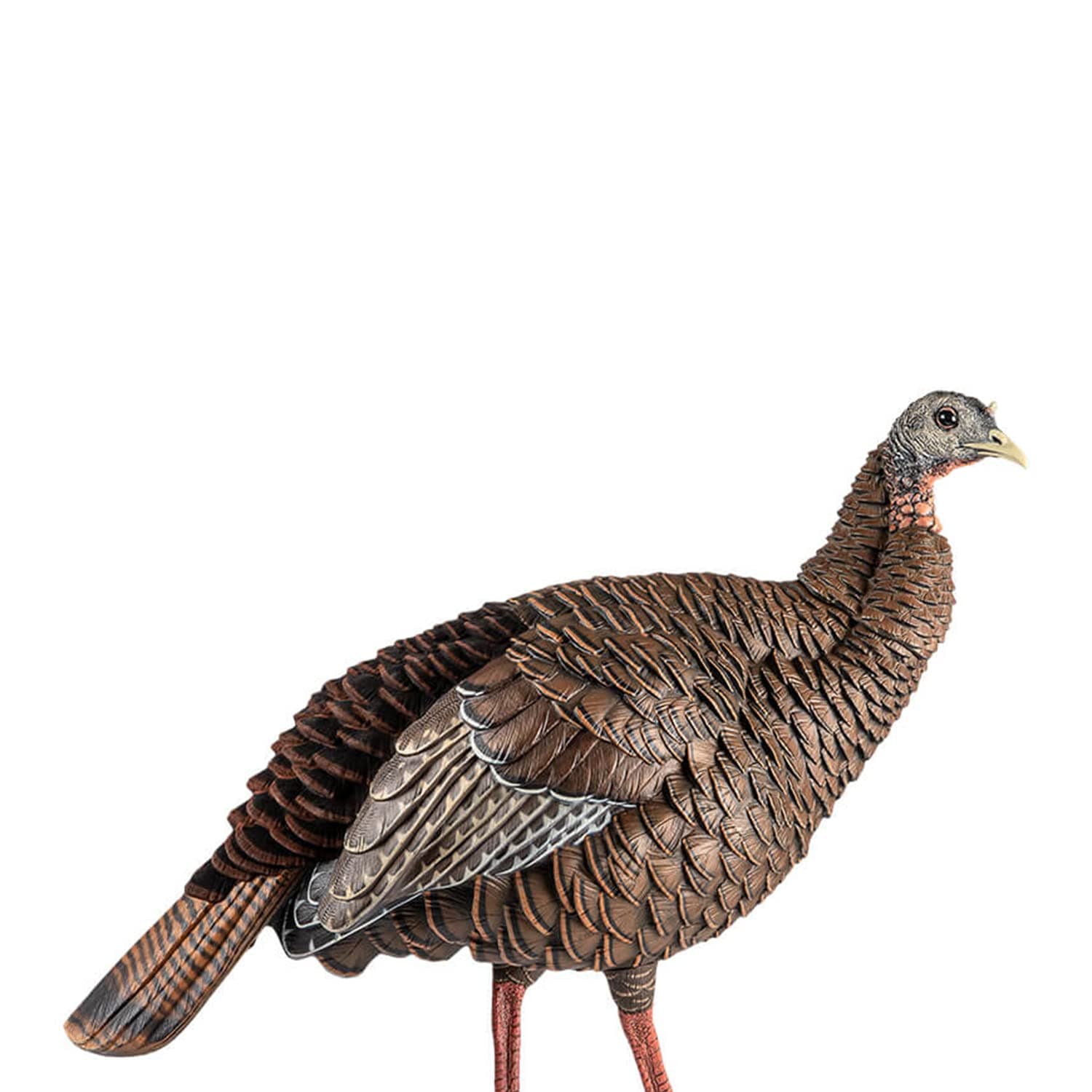 Avian-X HDR Hen Turkey Decoy | Durable Realistic Lifelike Standing Hunting Decoy with 2 Removable Heads, Carry Bag & Integrated Stake, AVX8106