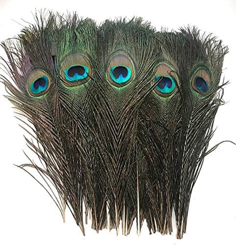 American Feathers Peacock Eye Feathers (Natural 10-12", per 100)