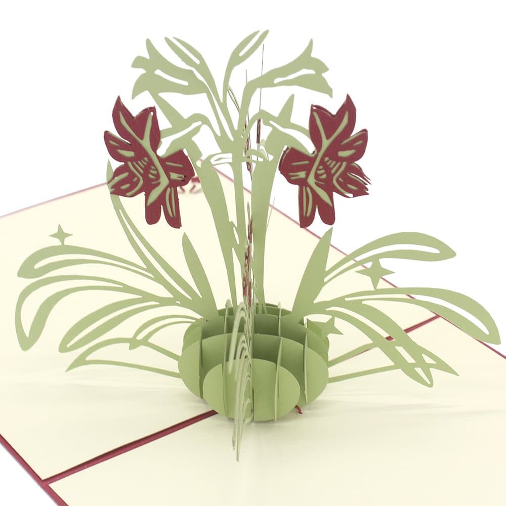 Cute Star Narcissus 3D Pop Up Greeting Cards with Envelope, Gift for Mother's Day Children's Day Birthday Best Wish Good Luck Wedding Invitation Congratulation (Red)