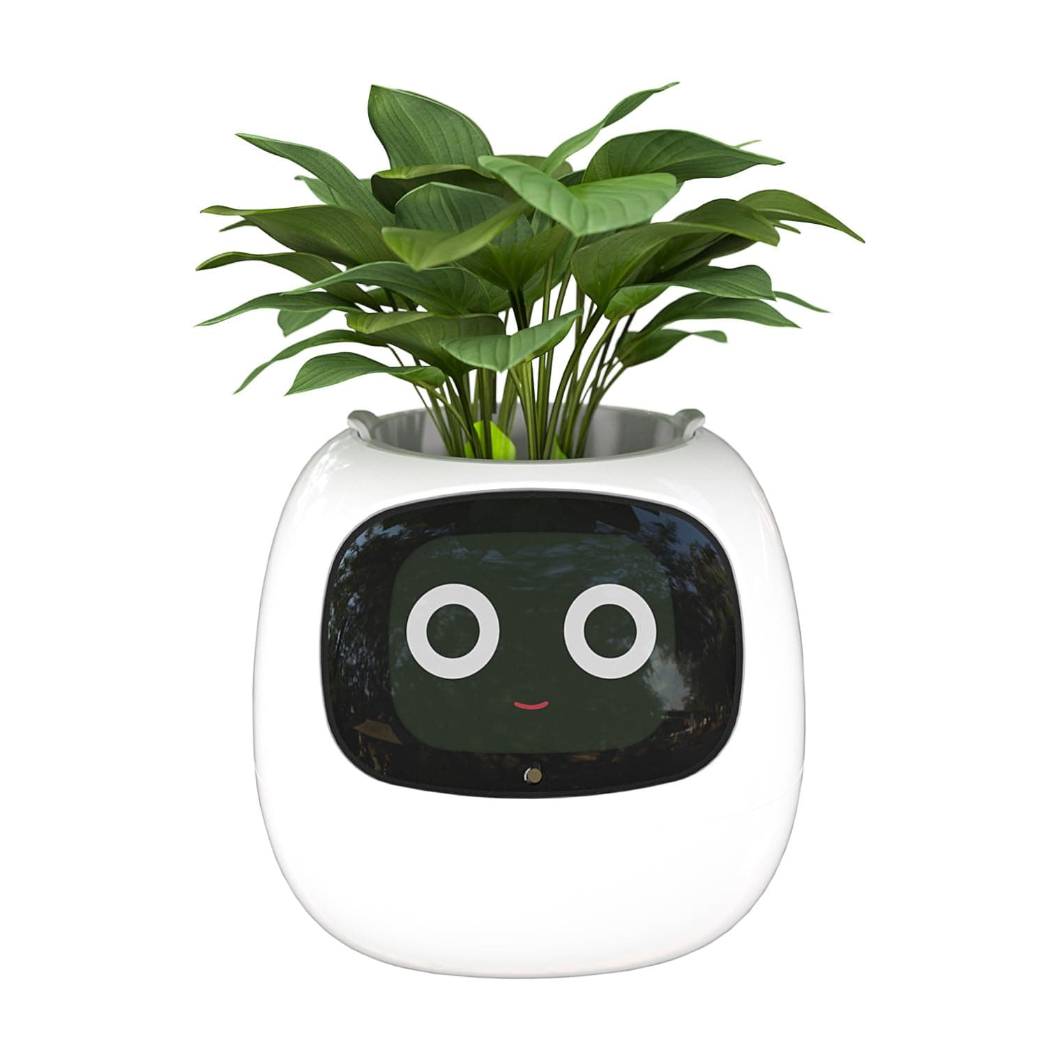 Smart Flowerpots, with Artificial Intelligence, Time Temperature Display, and Numerous Expressive Animations Based On The Environment, for Indoor Decoration, Gifts(White)