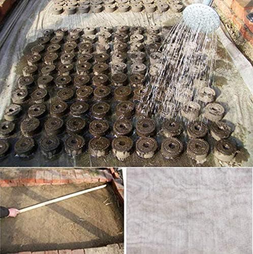 Jiffy Pellets Seed Compost Plug Start Seedlings,Indoors Easy to Transplant to Garden(50ct - 25mm)