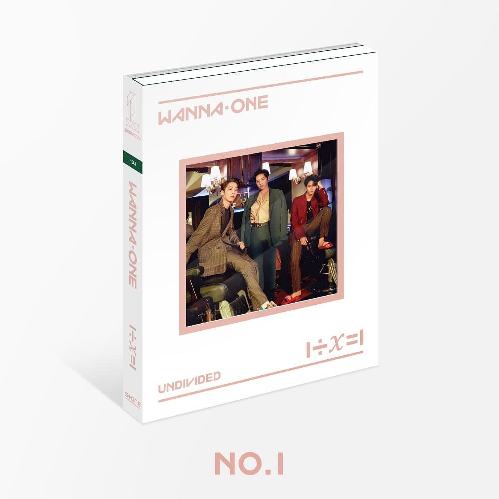 YMC Entertainment WANNA ONE - 1÷χ=1 UNDIVIDED (Special Album) [The Heal ver.] CD+Photobook+2Photocards+Magnet+Lyrics+Golden Ticket+Folded Poster+Free Gift