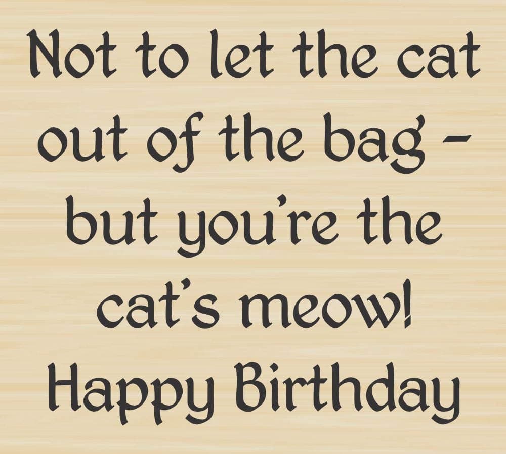Cat's Meow Birthday Greeting Rubber Stamp by DRS Designs - Made in USA