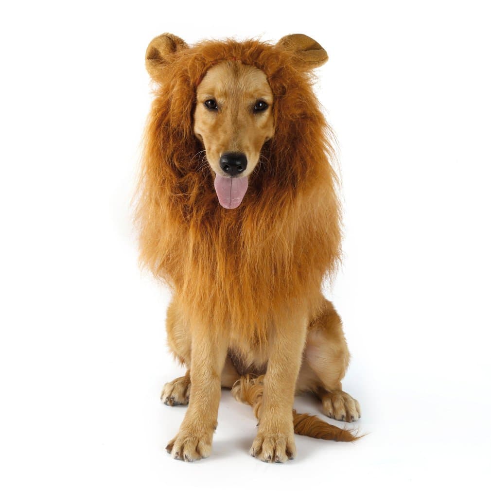 Dog Lion Mane,iMichella Funny Lion Mane for Dog Christmas Dress Up Pet Costume Adjustable Elastic Band Washable Comfortable Fancy Realistic Lion Hair for Large Medium Dogs
