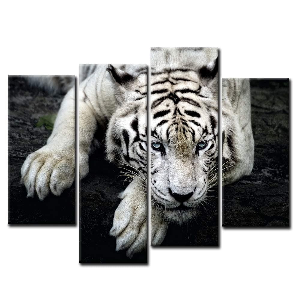 Black And White White Tiger Lie On Rock Wall Art Painting Pictures Print On Canvas Animal The Picture For Home Modern Decoration