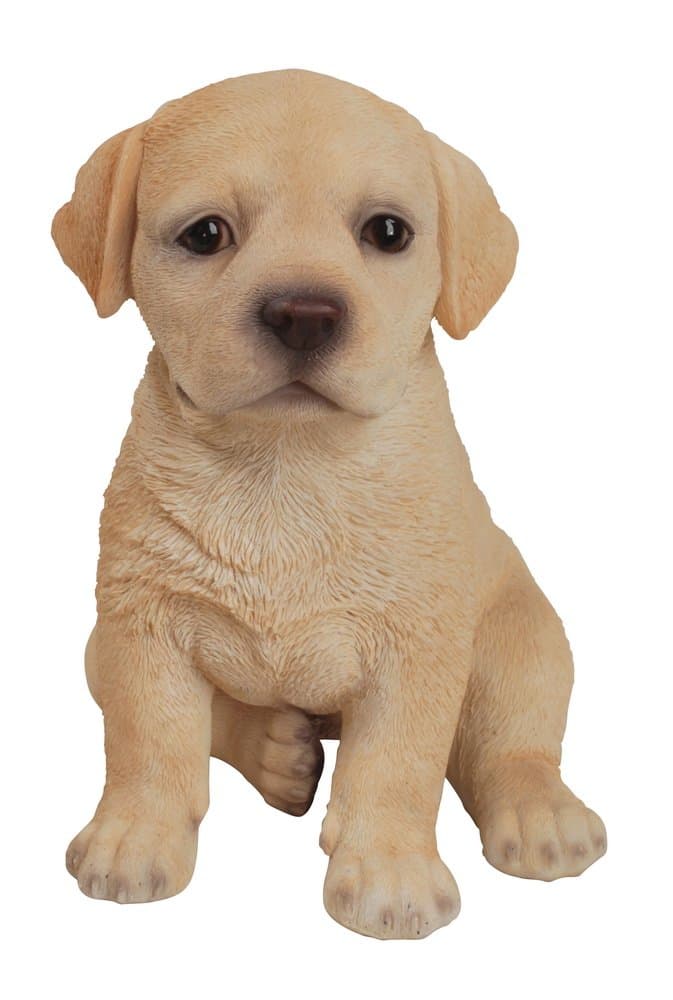 Hi-Line Gift Ltd (yellow) - . Labrador Puppy Garden Statue