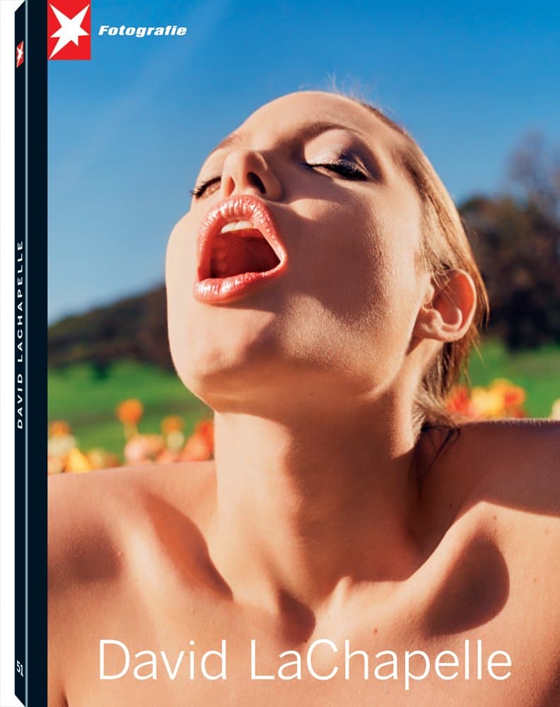 David Lachapelle: No. 51 (Stern Portfolio) Hardcover – Import, 17 April 2008