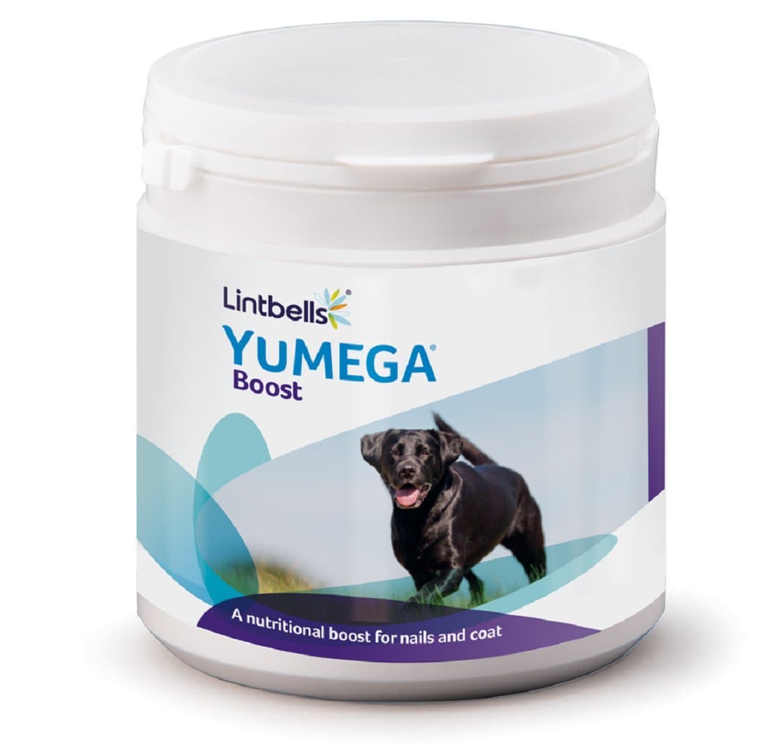 Lintbells YuMEGA Boost for Dogs, Nutritional Supplement for Coat and Nails, 91 g