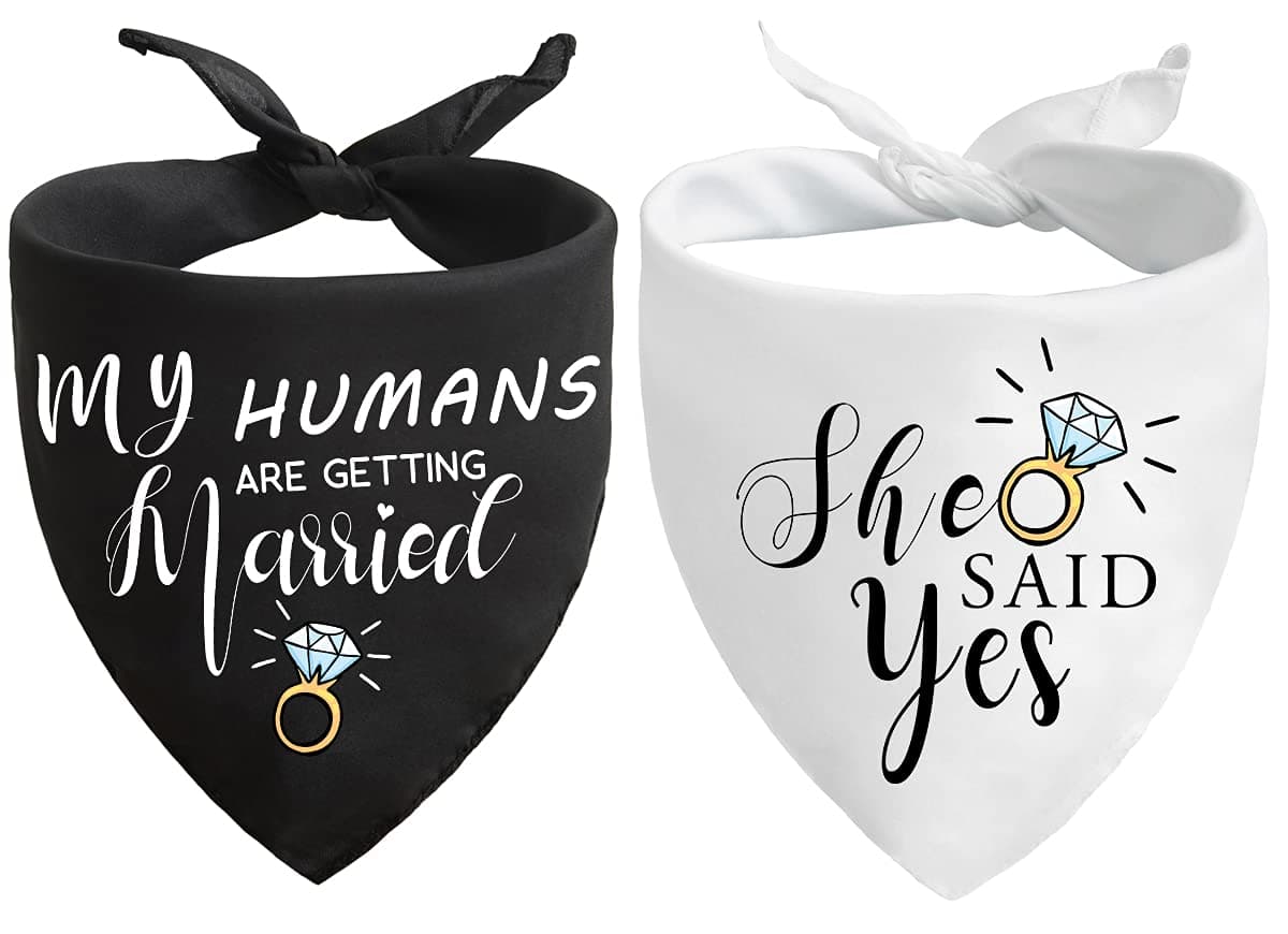 Engagement gifts,My Humans are Getting Married She Said Yes Dog Bandana for Wedding Engagement Photos,Bridal Shower Gift,Dog Wedding Outfit,Dogs Got Engaged Announcement