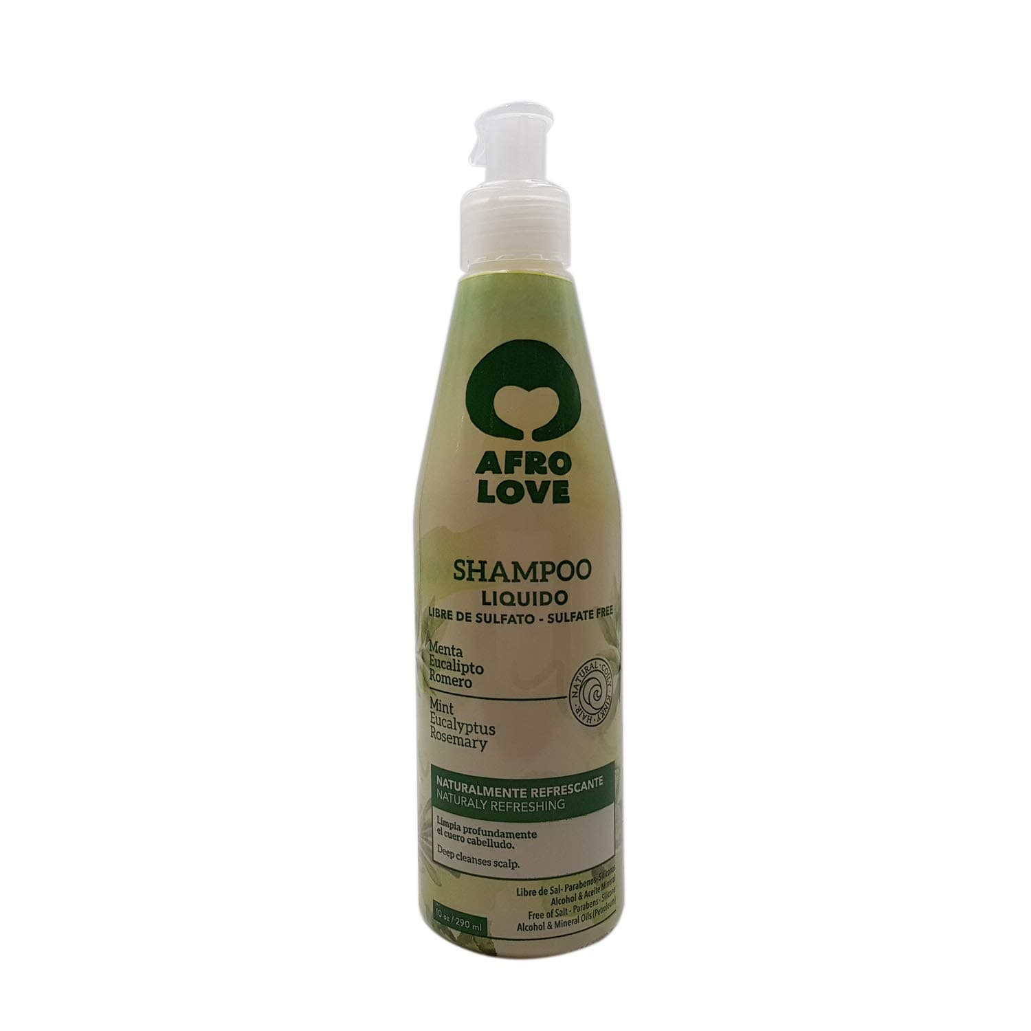 Shampoo 16oz – Sulfate-Free, Moisturizing & Curl-Defining Shampoo for Natural, Curly, and Coily Hair – Hydrating Formula with Coconut & Aloe Vera – Gentle Cleanser for Dry & Damaged Hair