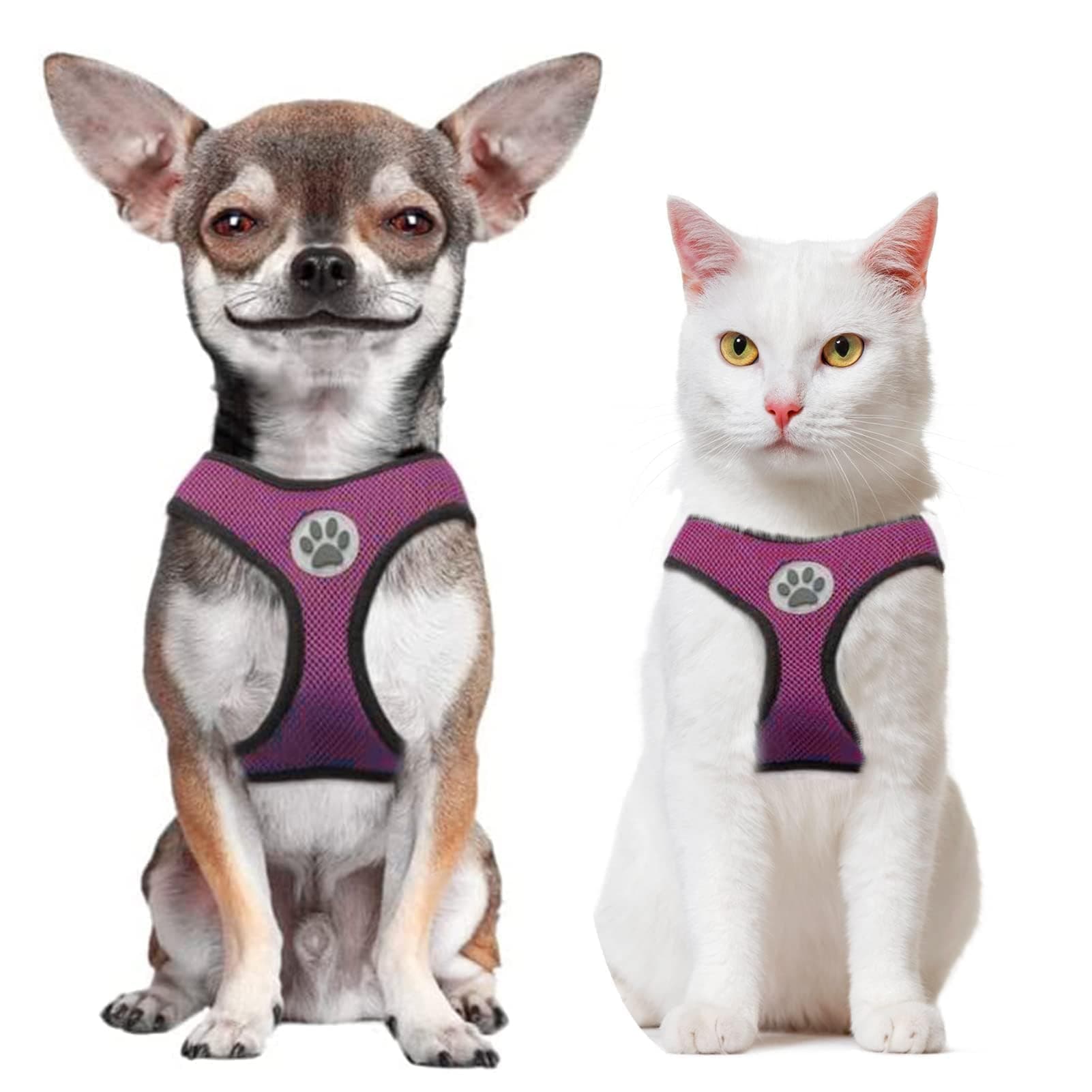 BINGPET Small Dog Harness - Breathable Mesh Puppy Cat Harnesses - No Pull Adjustable Dog Harness Dog Vest Harness for Small and Medium Dogs