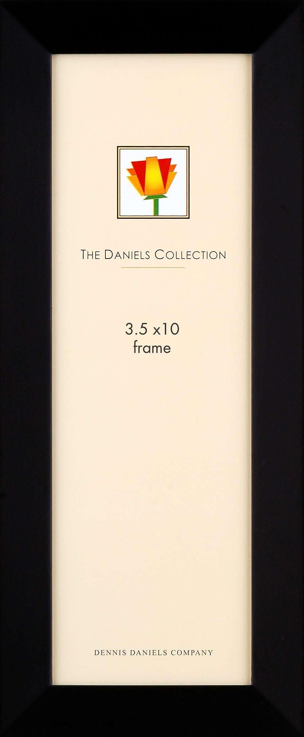 Classic Styling in Ebony-Black Panoramic by Dennis Daniels - 3.5x10