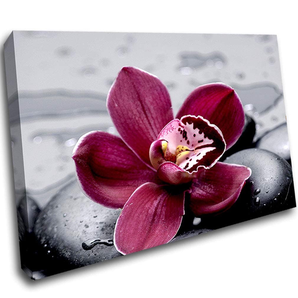 LoveSticker Orchid Flower Pebbles Bathroom Canvas Wall Wall 3D Art Picture Mounted Room C261(16x24inch (40x60cm))