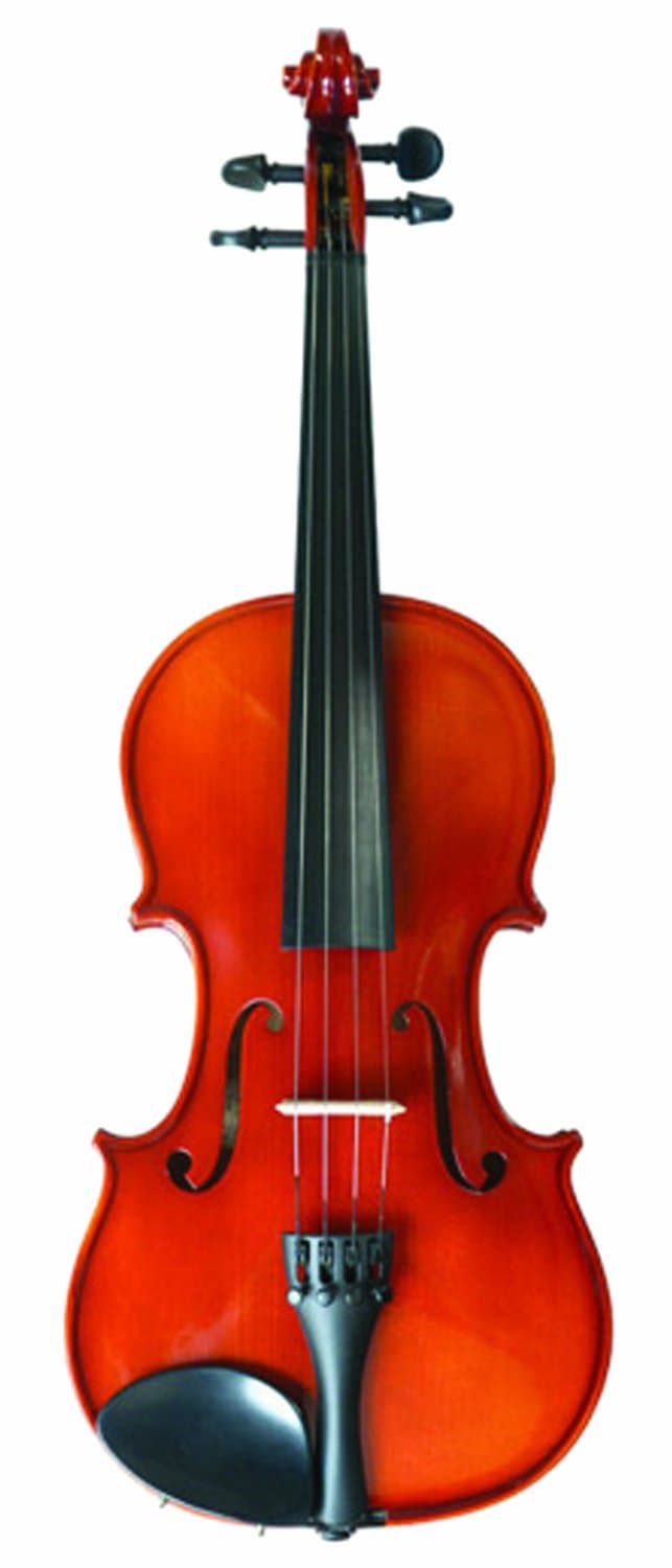 Nagoya Suzuki #220 Violin Outfit, 3/4