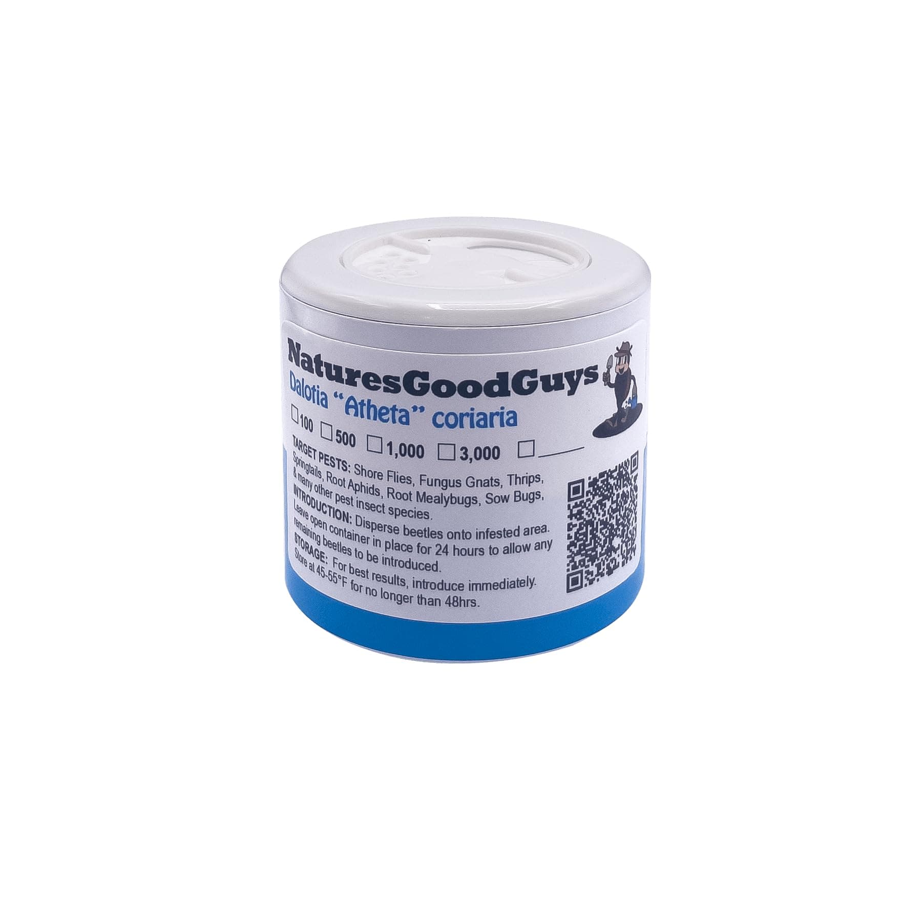 Dalotia (Atheta) coriaria - Rove Beetle - 100 Insects per Unit