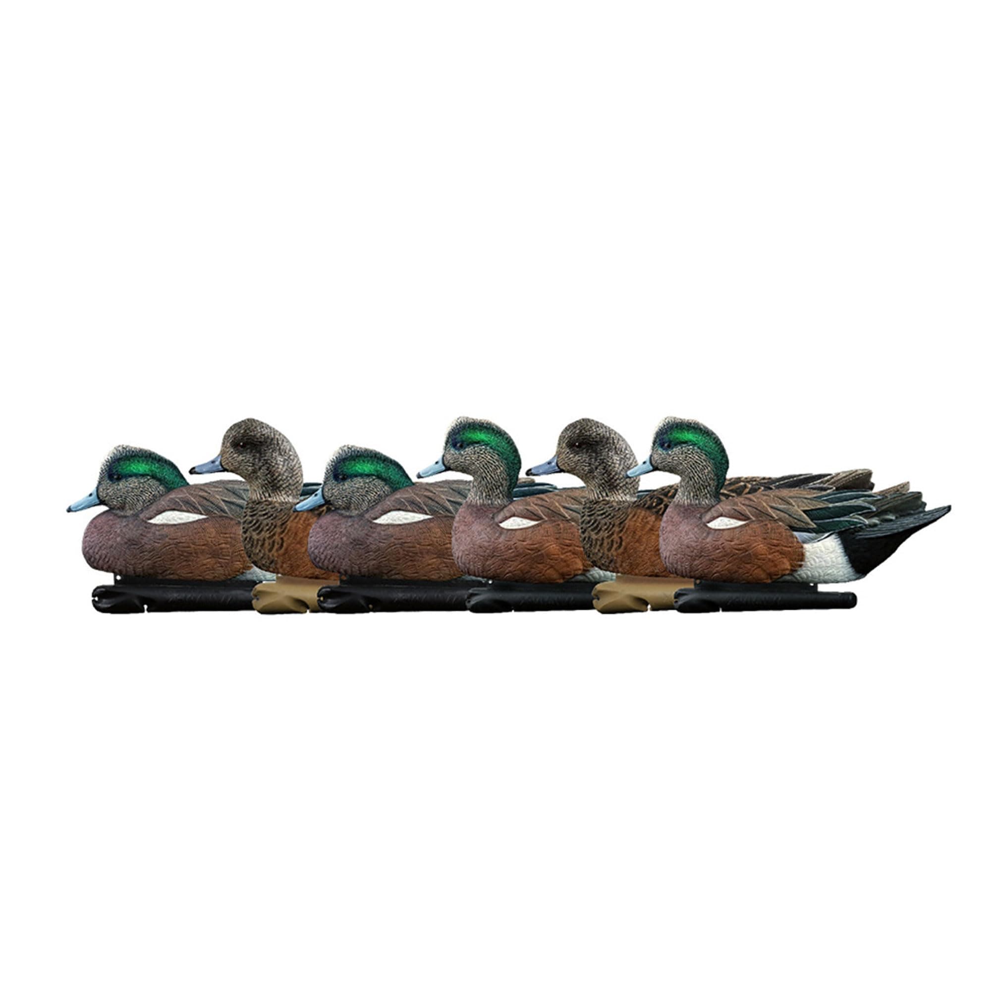 Avian X Topflight Wigeon Decoys, Rugged Realistic Floating Duck Decoys for Hunting, Weight Forward Swim Keel