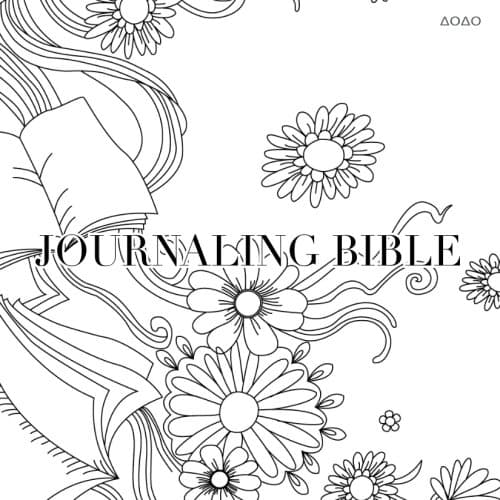 Journaling Bible: KJV Holy Bible For Creative Journaling Paperback – 23 Feb. 2018