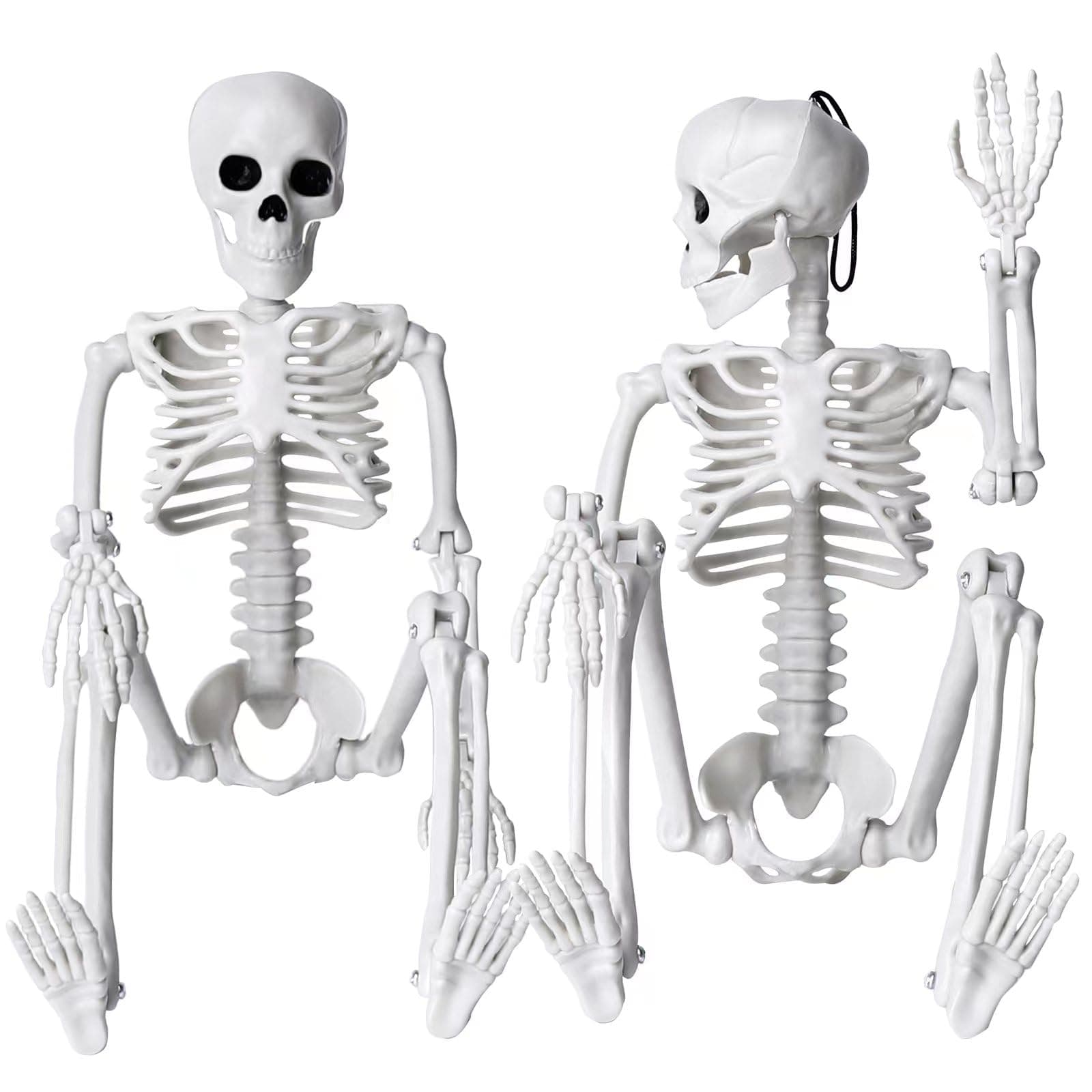 XIMISHOP 2pcs Skeleton Halloween Decoration, 16” Full Body Posable Halloween Hanging Plastic Skeleton Decoration with Movable Joints for Halloween Decoration Indoor Outdoor, White
