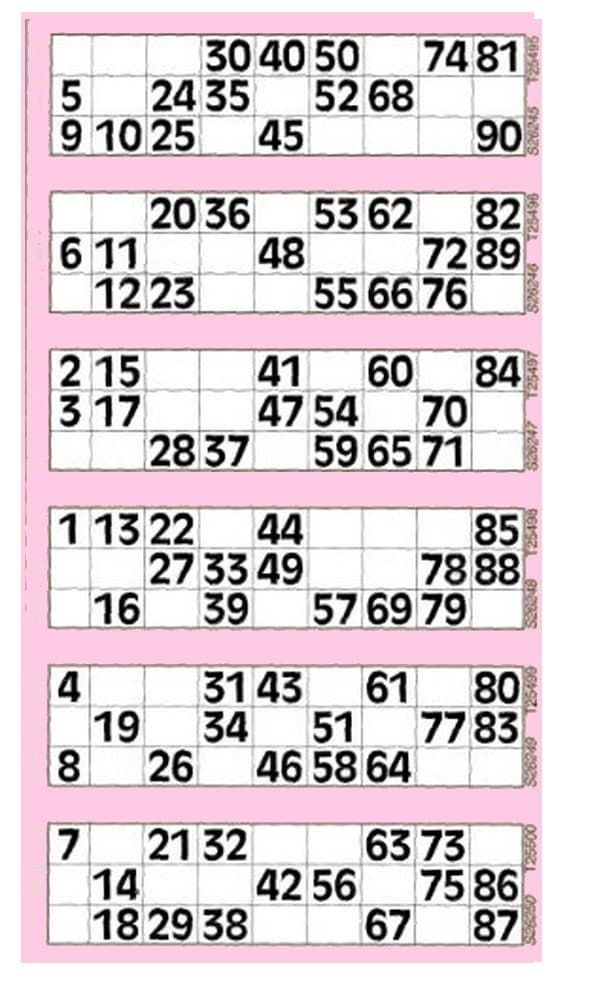 Jumbo Bingo Tickets pads 600 Tickets per pad 6 to view variety of colours (Pink)