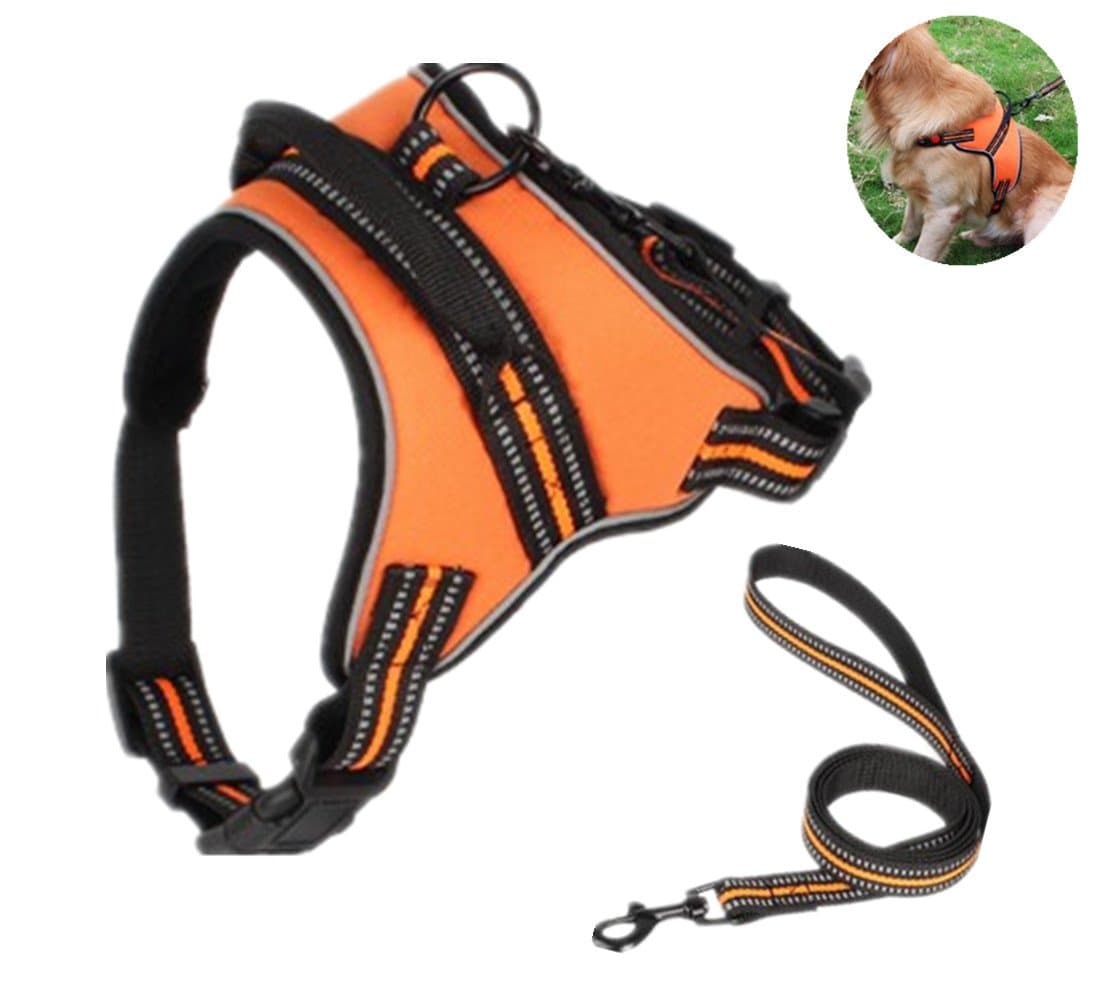 No Pull Dog Harness No Choke No Slip Pet Vest Adjustable Reflective Harness for Small Medium Large Dogs with Handle Dogs Easy Control Included Dog Leash (S, Orange)