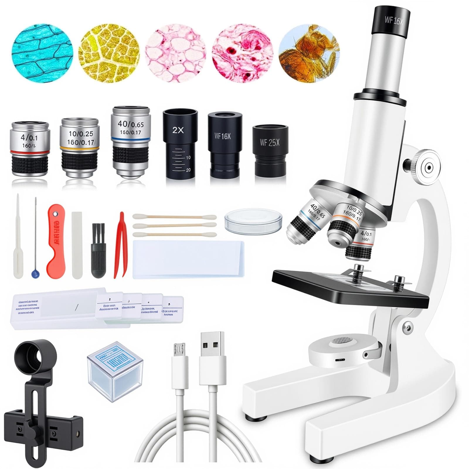 Compound Microscope for Adults & Kids - 40X-2000X High-Power Biological Microscope for Students, School Lab & Home Education, with Slides Set & Phone Adapter (Light White)