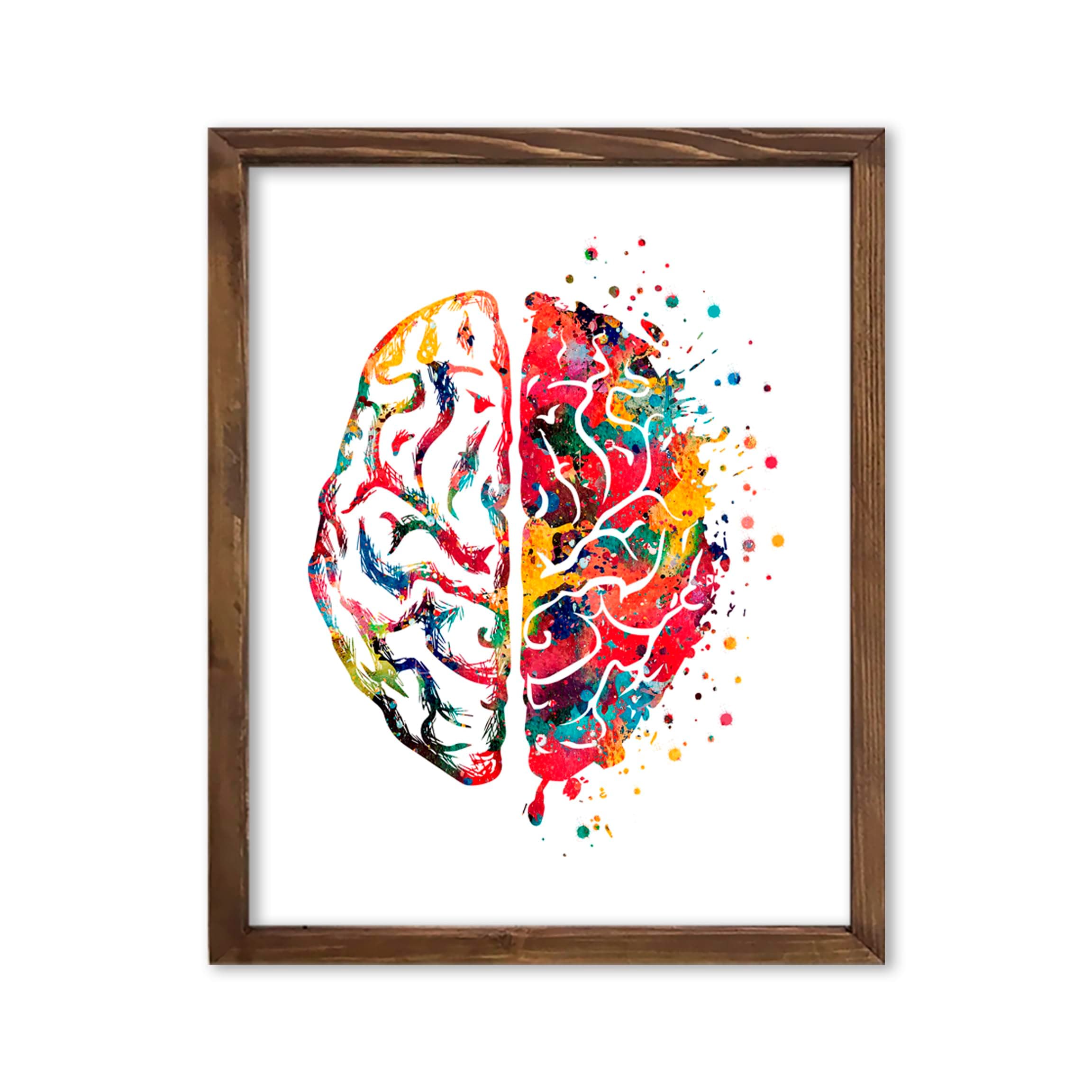 Watercolor Right Left Brain Functions Neurology Illustration Art Print for Medical Office Decor, Classroom Inspiration, Home Study Nook, Lab Reference Corner, Med Student Surprises, Aspiring Neurologist Tokens, Anatomy Teacher Honors, Science Enthusiast Presents, Parent Discovery Milestones, Birthday Gifts, Graduation Anatomy Markers, Festival Fact Keepsakes, Mentorship Tokens - 8x10 Unframed Print