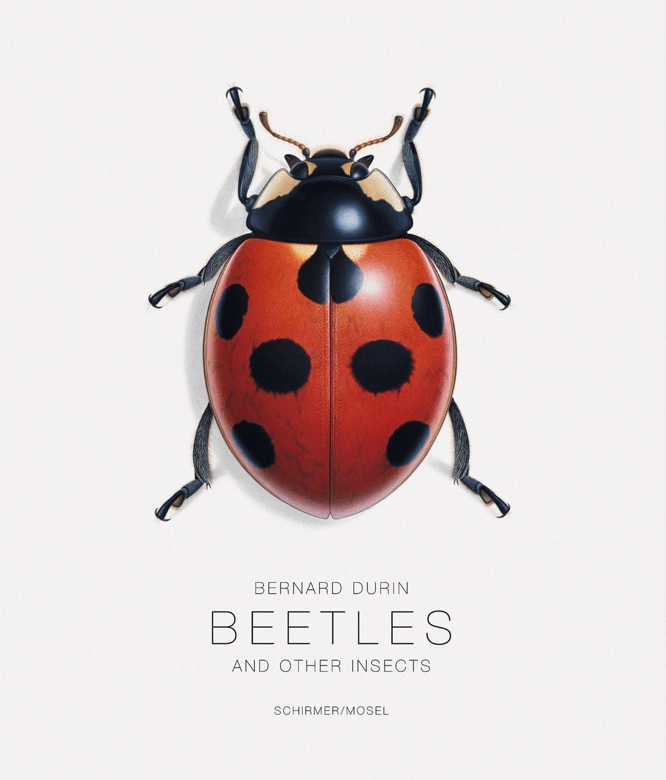 Bernard Durin: Beetles and Other Insects Hardcover – November 13, 2013