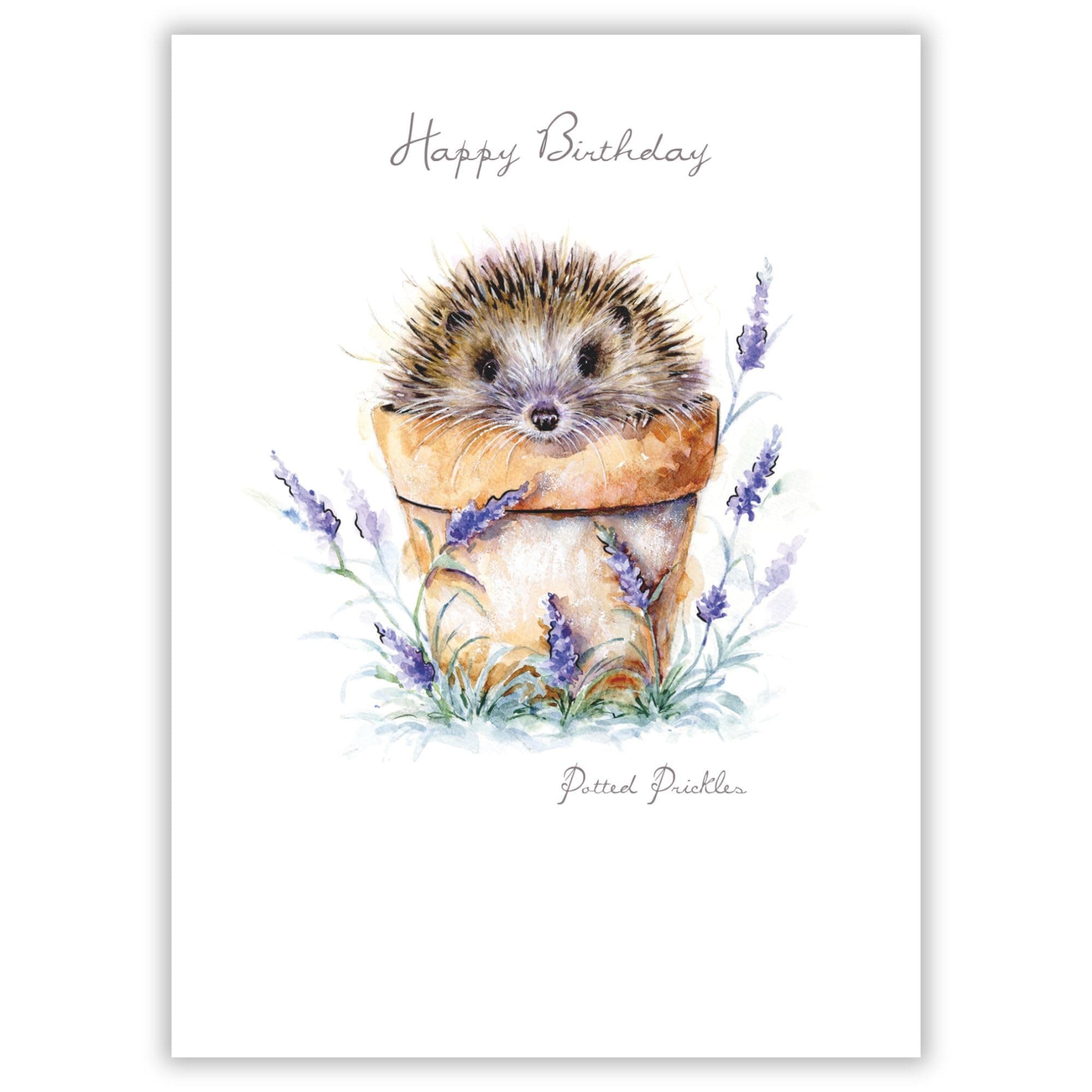 Noel Tatt Artistic Open 'Happy Birthday' Greeting Card - 'Potted Prickles' Hedgehog in Flower Pot Illustration - With A Silver Foil Finish - From The Pawfolio Range