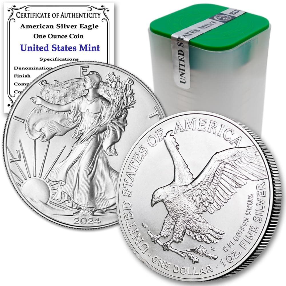 2024 Lot of (20) 1 oz American Silver Eagle Bullion Coins Brilliant Uncircula...