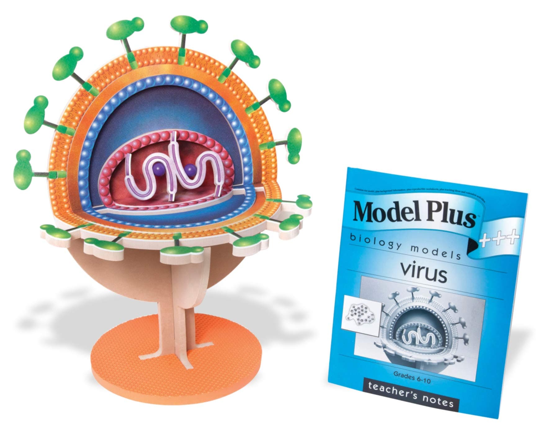 American Educational Products Model Plus SI69075 EVA Foam 3-D Science The Virus Model, Grades 6-10