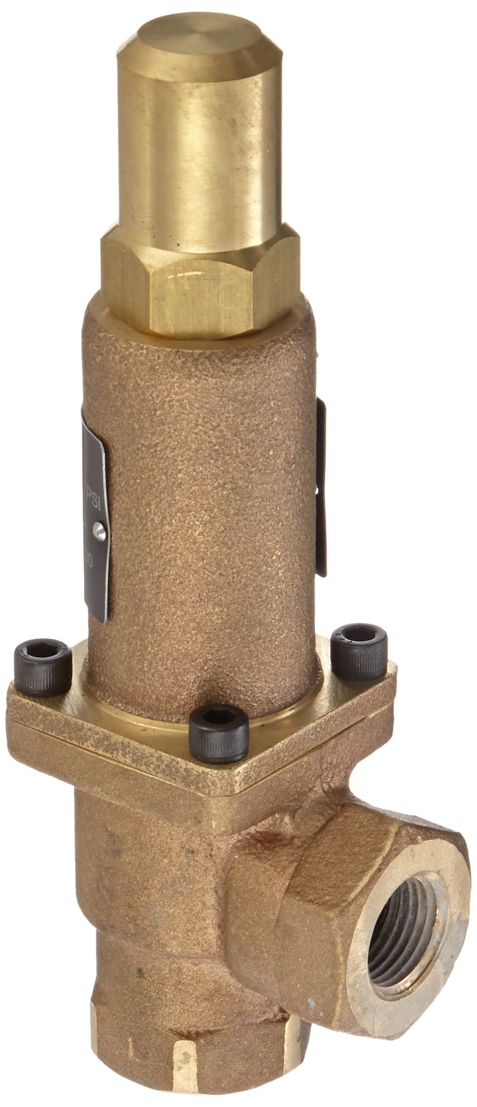 8342-0100 Bronze Back Pressure Relief Valve, Preset Setting 100 PSI, 1/2" NPT Female