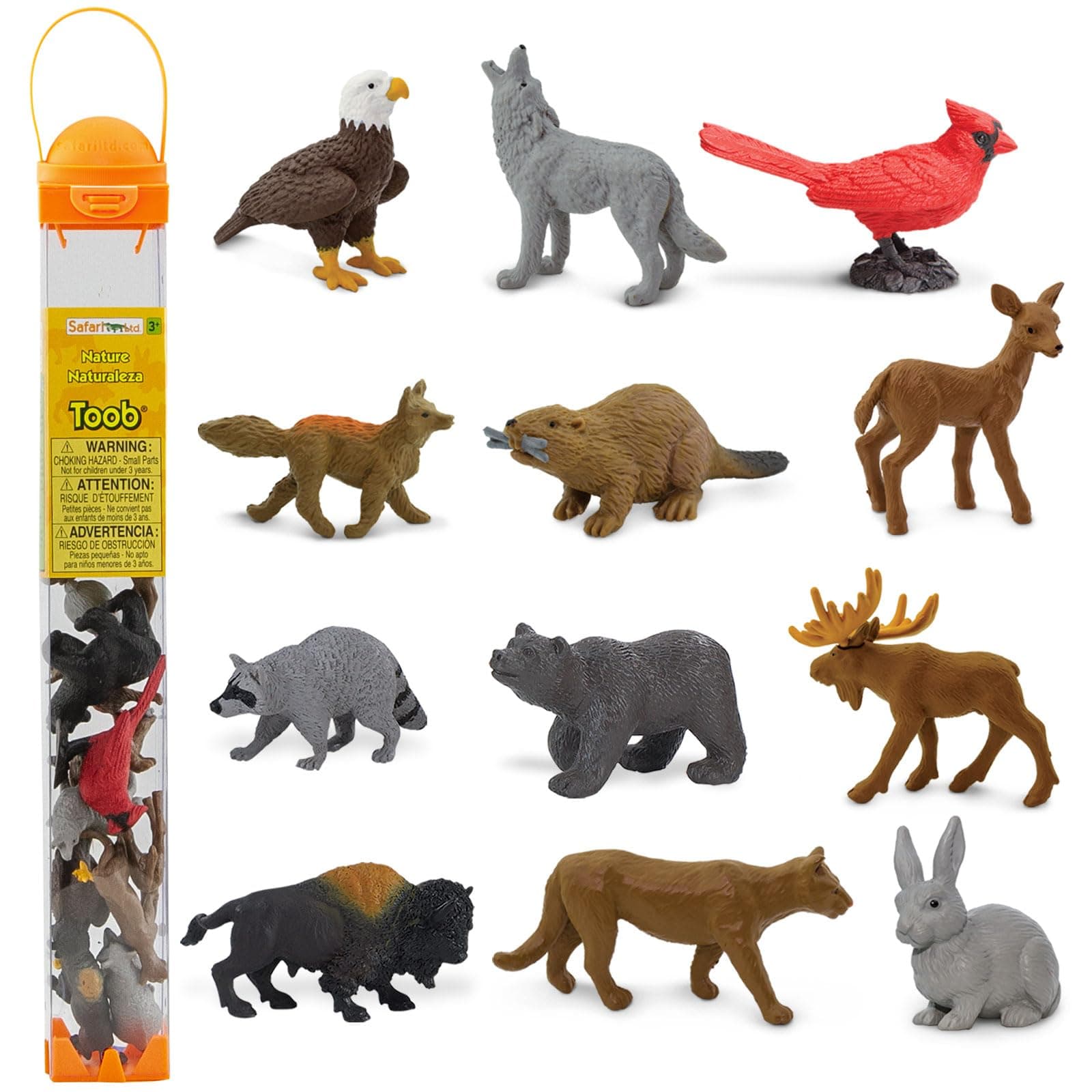 Safari Ltd Nature TOOB - 12 Mini Figurines with Rabbit, Beaver, Doe, Gray Wolf, Fox, Black Bear, Moose, Mountain Lion, Bald Eagle, and More - Educational Toy for Boys, Girls & Kids Ages 3+