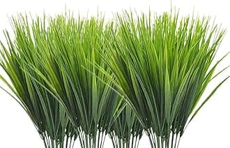 Wheat Grass