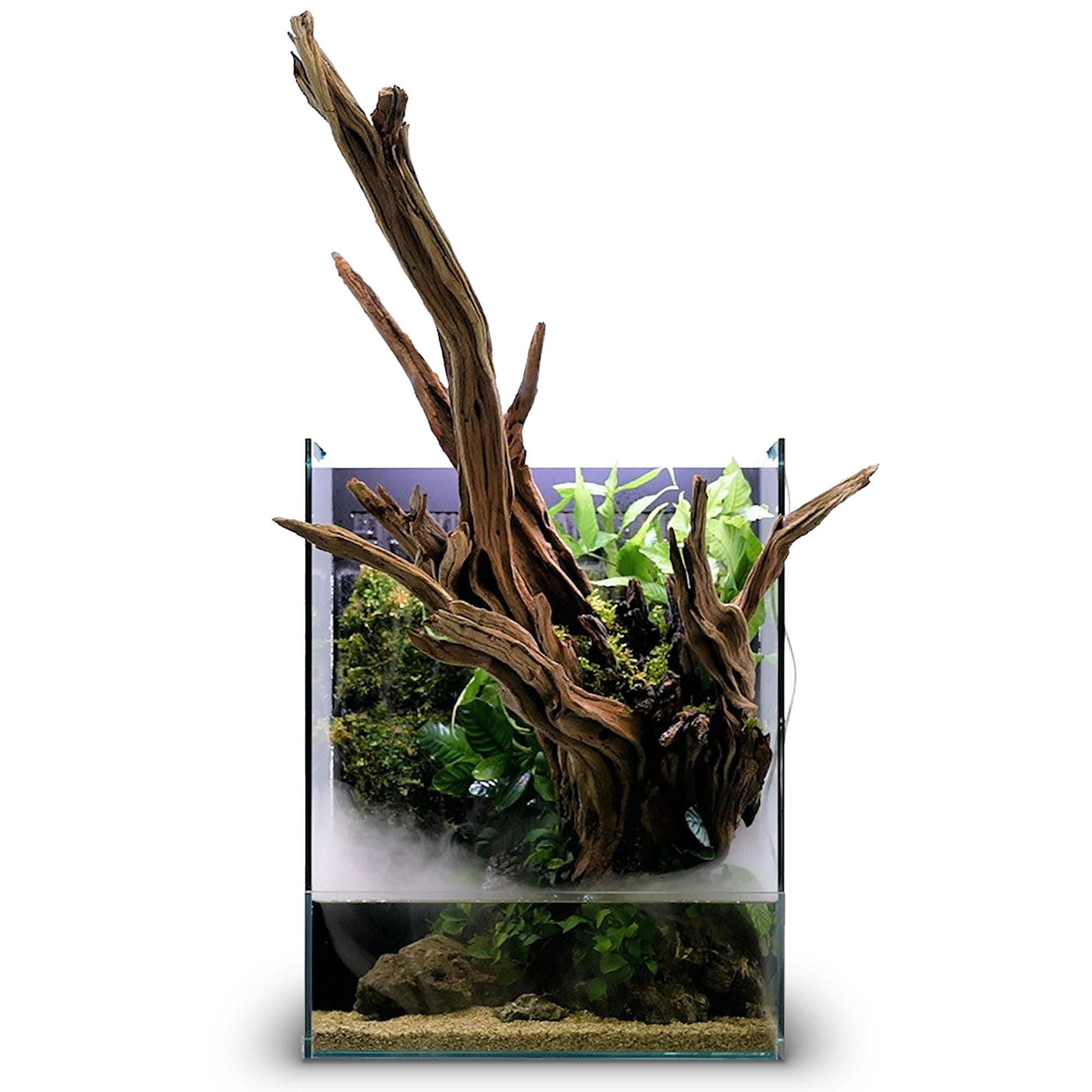 Ultum Nature Systems Foresta Integrated Paludarium All in One with Waterfall, Mist Maker, Water Pump, Filtration Media, for Aquascape and Aquatic Planted Tanks (35E)