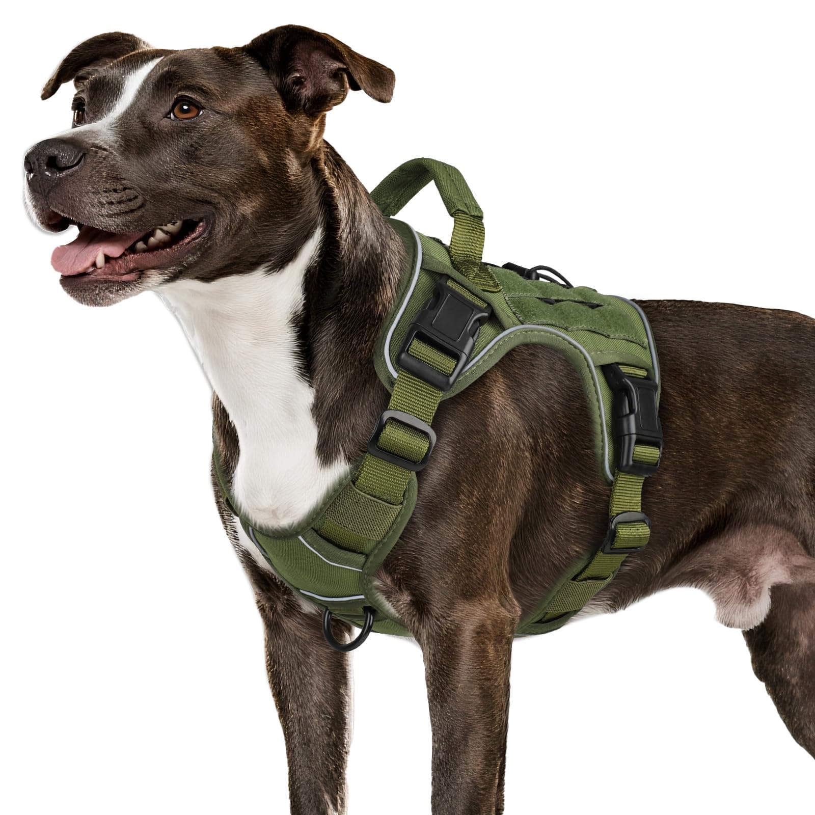 WINGOIN Green Tactical Dog Harness for Medium Dogs, Heavy Duty No Pull Dog Harness with Handle, Adjustable Reflective Military K9 Pet Vest for Pitbull, Female, Male, Walking, Training, Hunting (M)