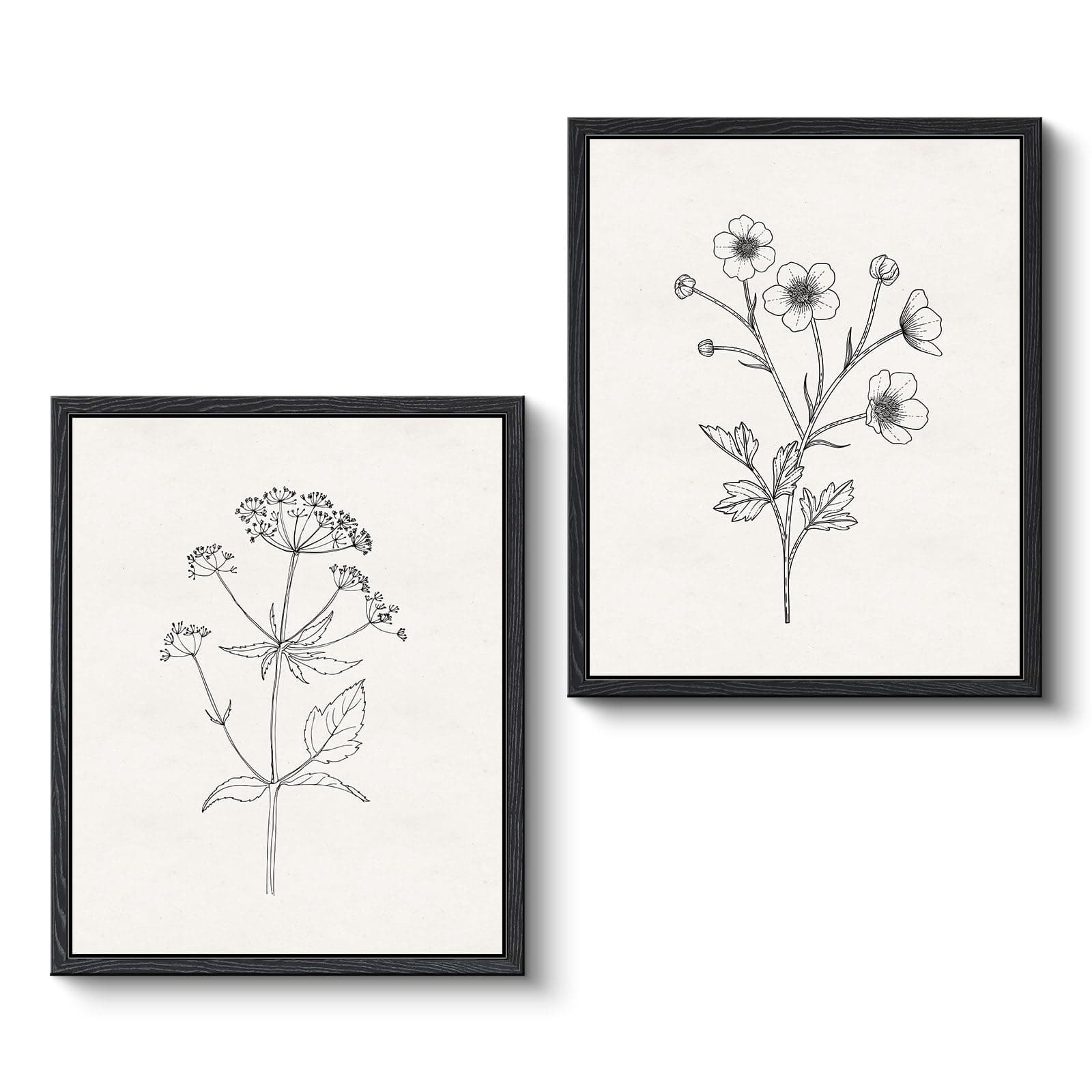 VIYYIEA Framed Canvas Botanical Wall Art, Minimalist Nature Green Plant Floral Wall Decor for Home Office Farmhouse Hallway (Set of 2, 11" x 9")