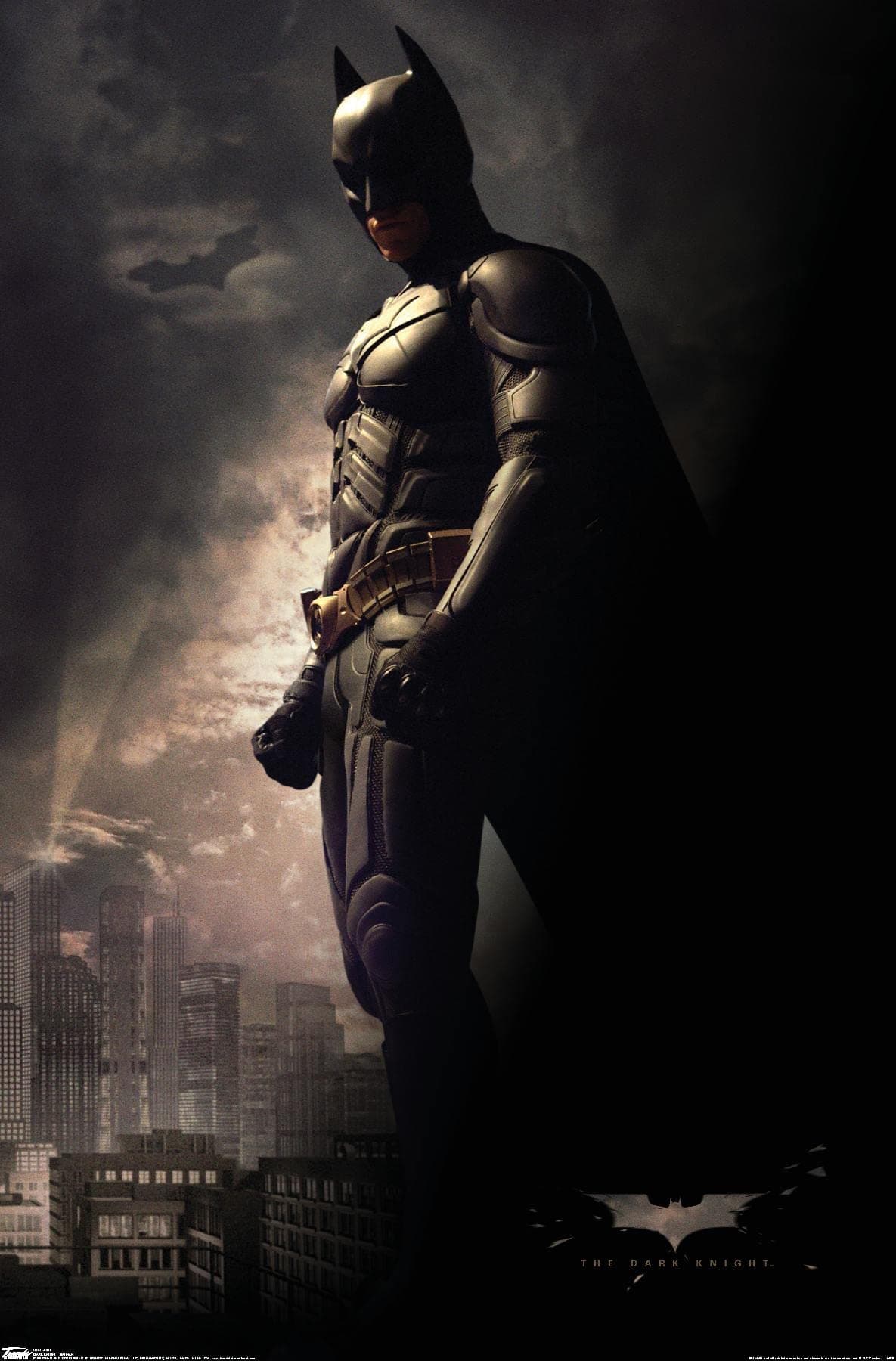 DC Comics Movie - The Dark Knight - Batman In The Shadows Wall Poster, 22.375" x 34", Unframed Version